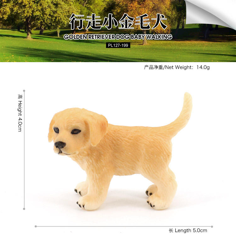 199Golden Retriever Dog Baby Walking