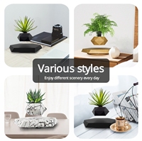 Bonsaï à lévitation magnétique Plantes en pot Décorations d'intérieur créatives Cadeaux légers et uniques pour les nouveaux et les anciens
