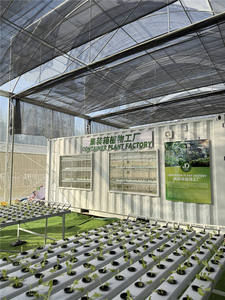 Sistema de Cultivo Hidropónico <span class=keywords><strong>NFT</strong></span> con Canales de Cultivo de PVC para Cultivo Comercial de Verduras, Pepinos y Tubos de PVC - Product Image 3