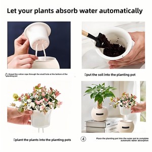 Arbre à Argent Pothos : Plantes Hydroponiques à Faible Entretien - Auto-Arrosantes, Compactes, pour Intérieur, Style Luxe, Ambiance Premium - Product Image 4
