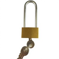 Cadenas de sécurité extérieur en laiton marin, étanche, antirouille, anti-effraction, pour entrepôt, serrure de porte 20 mm, accessoires de quincaillerie pour yacht et bateau