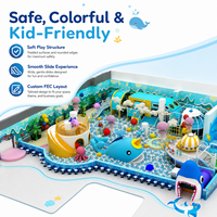 Équipement de terrain de jeux intérieur sur le thème de l'océan, structure en acier, taille personnalisable pour centre de divertissement familial, avec toboggans et piscine à balles