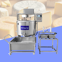 Machine à fabriquer du fromage mozzarella à haute efficacité, équipement de transformation laitière automatique, machine à presser les moules à fromage au lait de chèvre