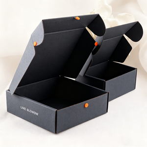 Boîtes de couleur ondulées imprimées double face personnalisées en usine Conception d'avion <span class=keywords><strong>avec</strong></span> fermeture à glissière pour emballage de <span class=keywords><strong>sous</strong></span>-vêtements Livraison express - Product Image 2