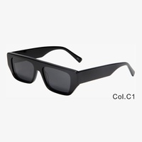 Lunettes de soleil polarisées carrées classiques rétro Lunettes en acétate personnalisées à la mode Lunettes de soleil unisexes à petite monture irrégulière TAC