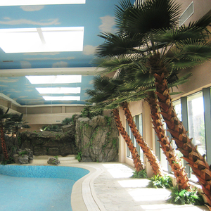 <span class=keywords><strong>Centro</strong></span> Comercial decoración del Hotel <span class=keywords><strong>palma</strong></span> Artificial árbol de ventas - Product Image 5