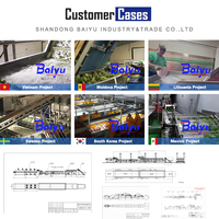Baiyu Automatische Bevroren Aardappel Frietjes Sorteermachine Pomp Motor Lager Voor Restaurants Fabrieken Plc Inbegrepen