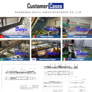 Baiyu Automático Patatas Congeladas Patatas Fritas Máquina de Clasificación Bomba Motor Cojinete para Restaurantes Plantas de Fabricación PLC Incluido - Product Image 3