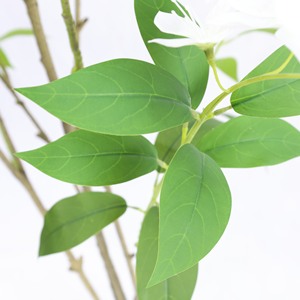 <span class=keywords><strong>Jazmín</strong></span> Artificial de Alta Gama, Árbol de <span class=keywords><strong>Jazmín</strong></span> Llorón, Decoración para Ventanas Interiores, Planta Verde Biónica, Bonsái Artificial - Product Image 2