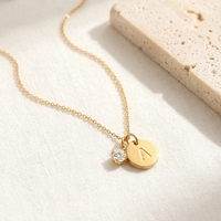 Collier en acier inoxydable avec initiale personnalisée, pendentif disque alphabet, pierre de naissance CZ Zircon, bijoux pour femmes, vente en gros