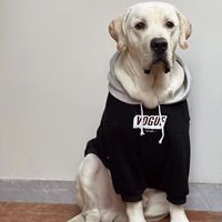 Sudadera de Lujo para Perro con Bloques de Color, Forro Polar Ecológico, Diseño Minimalista y Estilo Deportivo