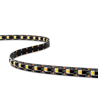 UL CE Rohs certifié UCS7604 SMD LED bande lumineuse flexible 3 couleurs blanches 65536 gris DC5V IP20/IP65 évalué UCS7604 16 bits Led bande