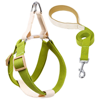 Juego de Correa y arnés de cuerda con logotipo estampado personalizado de diseño de lujo colorido Juego de Correa y arnés de perro reflectante elástico para caminar