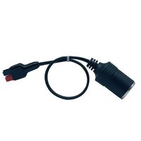 Cable de Extensión de 16 AWG con Conector para Encendedor de Cigarrillos, Adaptador para Estación de Energía Portátil y Panel Solar