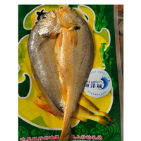 Offre Spéciale : Poisson Papillon Jaune (Petit Croaker) Congelé, Certifié HACCP, Congélation BQF, Origine Chine, Durée de Conservation 12 Mois
