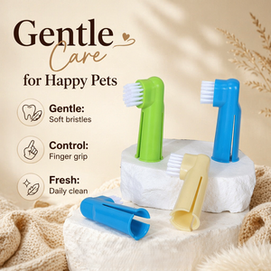Brosse à dents <span class=keywords><strong>pour</strong></span> animaux de compagnie en gros à prix abordable, brosse à doigts <span class=keywords><strong>pour</strong></span> le nettoyage des dents, outil de toilettage <span class=keywords><strong>pour</strong></span> chats - Product Image 1
