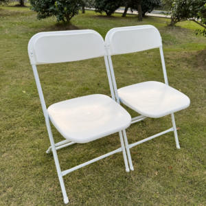 كرسي رخيص من الراتينج البلاستيكي wibledon كرسي حديقة بتصميم فرنسي بسيط أبيض كراسي زفاف - Product Image 2