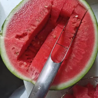 Professionele keukenhulpjes 430 roestvrijstalen handmatige fruit snijder watermeloenblokjes messen snijder snijmachine