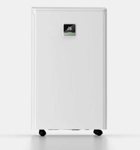 Deshumidificador Doméstico Económico de 20L/Día con Función de Oscilación Automática - Product Image 1