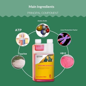 Suero de Hígado con Vitamina B12 para Palomas, Impulso Energético Pre-competición, Recuperación Post-competición, Suplemento Nutricional, Alivia la Fatiga, 500ml/botella - Product Image 1