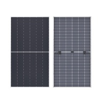Module solaire bifacial à haute efficacité Longi LR7 HPDC 590w 595w 600w 610W 615W 620W 182mm panneaux solaires demi-cellule Module solaire bifacial 615W