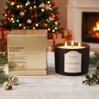 Bougie parfumée à 3 mèches 300g 200g, marque privée, parfum d'ambiance, aromathérapie, coffret cadeau, décoration de chambre, vente en gros