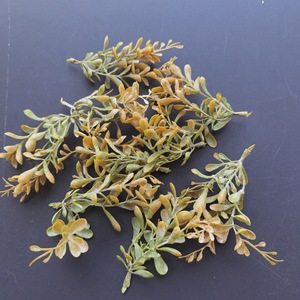 Feuilles de saule artificielles, plantes vertes floquées, branches décoratives givrées, emballage en vrac, petite taille - Product Image 4