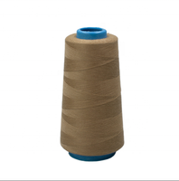 Fil à coudre 100% polyester filé, haute qualité, couleur personnalisée pour machine OEM
