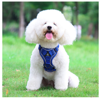 Harnais pour chien et chat hautement personnalisable, ensemble laisse et harnais résistant, réglable, de luxe, anti-traction