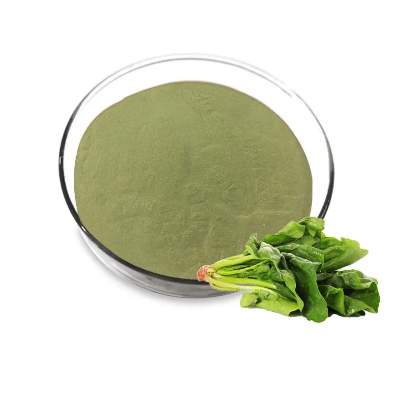 Weight Loss Spinach Extract Powder Spinach Juice Powder organic Spinach Powder