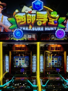 Machine de jeu d'arcade en métal sur le thème de la chasse au trésor, compatibilité multi-prises (EU/US/UK/AU), version anglaise pour centres de jeux - Product Image 4