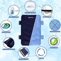 Pack de gel chaud froid multifonctionnel et réutilisable pour le dos Pack froid de glace longue durée pour les blessures