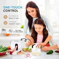 Hachoir à ail électrique rechargeable par USB, bol en verre, mini robot culinaire pour la nourriture pour bébé, oignon, gingembre, sauce chili
