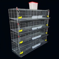 Cage d'élevage automatique pour cailles avec nettoyage automatique du fumier - Système de cage d'élevage avicole automatique