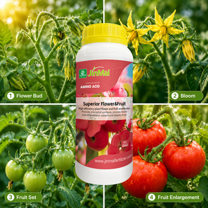 Bio-stimulant Oligopeptide d'Acides Aminés et de Zinc, Engrais Liquide Haute Efficacité pour la <span class=keywords><strong>Croissance</strong></span> des Plantes, la Floraison et la Fructification - Product Image 1