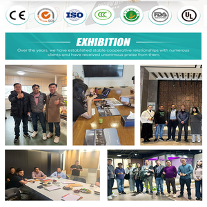 Revestimiento de Pared WPC de Alta Calidad para Exteriores, Paneles de Revestimiento de Pared de Compuesto WPC para Exteriores - Product Image 5