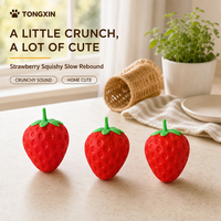 Jouet Squishy Fraise à Presser TONGXIN, Fraise Squishy à Remontée Lente, Boîte Mystère, Lot en Gros, Distributeurs Bienvenus