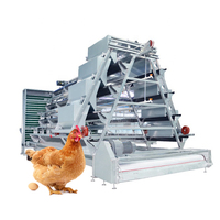 Nouveau système de cages en batterie automatiques pour poules pondeuses, galvanisées à chaud, de type A, pour élevages avicoles, avec une durée de vie de 15 à 20 ans