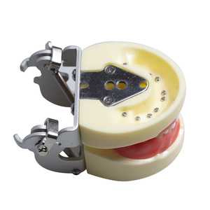 Modelo de Dientes de Goma Suave Totalmente Desmontable para Niños, Modelo de Enseñanza Oral Reemplazable para Prácticas de Preparación en Ciencias Médicas - Product Image 2