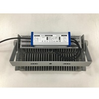 Proyector LED para Exteriores Watt, Diseño de Iluminación Urbana, Construcción Compacta Europea, PCB de 100W, Luz Diurna, IP65, RGBW, 300 LED