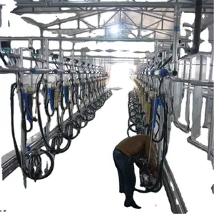 Many Cow Milking Machine System , Milking Parlor For Dairy Farm
