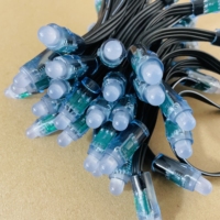 Qualité adressable 12V 5V Xconnect Pixel 2811 1903 1916 WS2811 12mm numérique IP68 Ray Wu résistance en queue de cochon balle