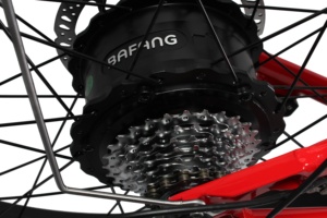 Wholesale 1000watt 48v Bici Elettrica/mid Drive Enduro Ebike Electric City <strong>Bike</strong> For Adult/hot Light Weight Sports Sepeda Listrik - Product Image 2