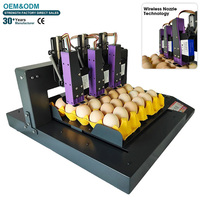 Machine professionnelle de codage d'œufs, imprimante jet d'encre multi-têtes automatique et alimentaire pour 30 plateaux, ligne de production haute vitesse, certifiée CE Europe