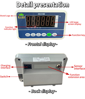 Compteur à affichage LED en plastique XK-3198 avec voyants lumineux, échelles personnalisables, prise en charge OEM/ODM