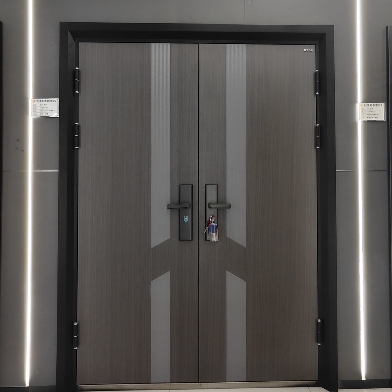 Galvanized Steel Modern Luxury Security Metal