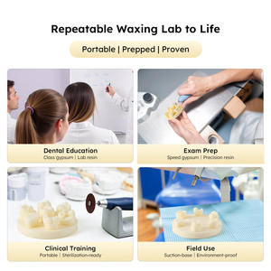 Yeso Dental/Material de resina Modelo de práctica de morfología dental Prueba de estudiante Modelo de práctica de cera por goteo - Product Image 6