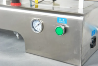 Petites machines de remplissage aseptiques de gel à piston Beurre d'arachide Brillant à lèvres Pâte Lotion Aérosol Remplisseuses de bouteilles liquides
