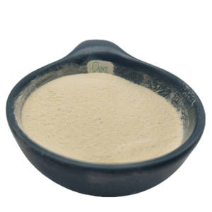 高品质のヤコン根エキスパウダー - Product Image 5