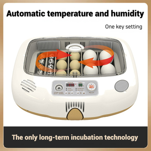 Chất lượng cao lồng ấp trứng nở Máy trứng lồng ấp máy tự động cho trứng gà - Product Image 3